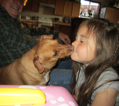 Fairgrounds Animal Hospital - Reno, NV. We love our dog and Fairgrounds Pet Hospital !