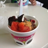 sweetFrog gallery