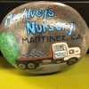 Macalvey's Nursery gallery