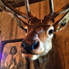 Prairie Schooner gallery