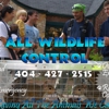 All Wildlife Control gallery