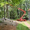 AAA Tree Experts gallery