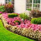 Allied Landscape Services