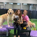 A Ruff Day Bark Club - Pet Boarding & Kennels