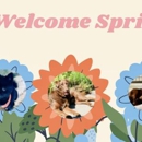 Battlefield Animal Clinic - Veterinarians
