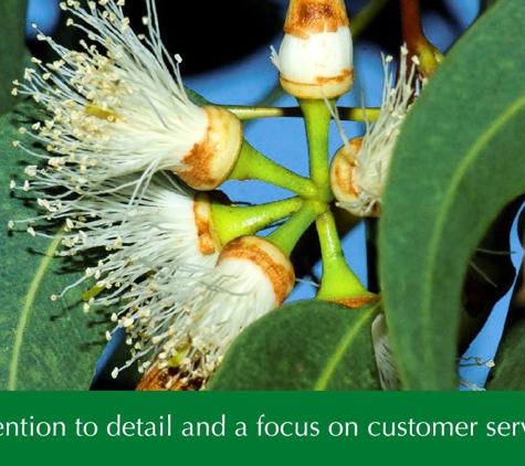 ACT Tree Felling. Attention to detail and a focus on customer service