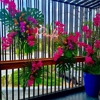 A Goode Florist gallery