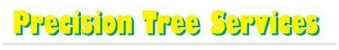 Newcastle Precision Tree Services - Gardeners
