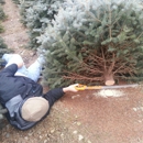 Yenser's Tree Farm - Christmas Trees