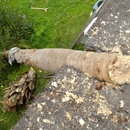 Tree Surgeons