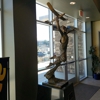 Embry-Riddle Aeronautical University-Prescott gallery