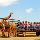 Lazy 5 Ranch - Ranches