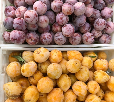 Calistoga Farmers Market - Calistoga, CA