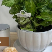 Gallery Image Number 1