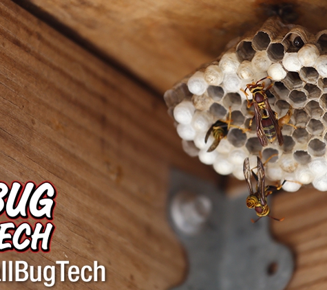 Bug Tech - Lubbock, TX