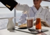 Voyages By Water - Cruises
