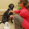 A Pet's Place Animal Hospital gallery