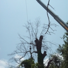 Risk Tree Service