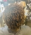 Paul Mitchell the School Houston - Beauty Schools