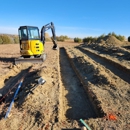 Moose and Bear Excavation
