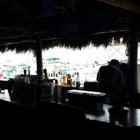 Dolphin Tiki Bar & Grill