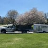 Clean Peak Landscaping gallery