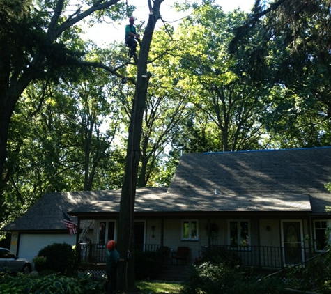 Green Man Tree & Landscaping Services - Waukesha, WI