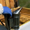 Eco Pest Control gallery