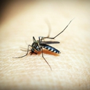 Ben's Pest Control - Pest Control Equipment & Supplies