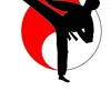 Chay's Tae Kwon Do gallery