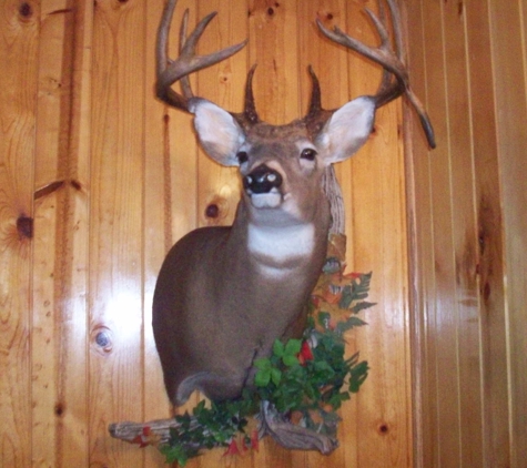 Ron's Taxidermy - Richmond, OH. Taxidermist