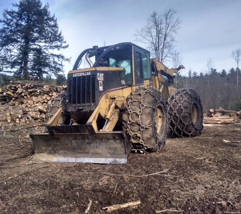 Mario Pelletier Tree Removal - New Boston, NH