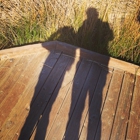 Cosumnes River Preserve