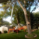 Matt's Tree Service - Tree Service