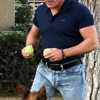 Phoenix Dog Training And Behavior Center gallery