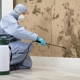 Mold Remediation of Orlando