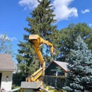 Viking Tree & Stump - Tree Service