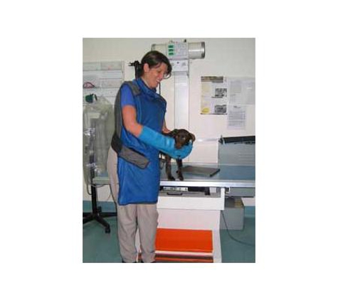 Berwick Veterinary Hospital - Berwick, VIC