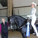 Equestrian Elite at Apple Jack Farm - Stables