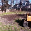 The Whole 9 Tree Service gallery
