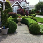 All Seasons Landscaping Inc