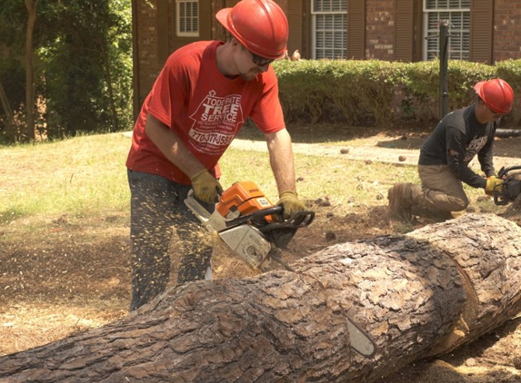 Todd’s Marietta Tree Services - Marietta, GA