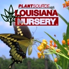 Louisiana Nursery