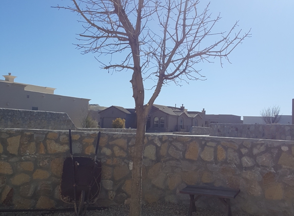 General Services Landscaping and Maintenance - Las Cruces, NM