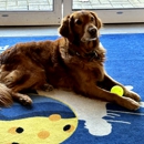 Seacoast Pickleball - Clubs