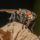Aero Pest Control Irvine - Pest Control Equipment & Supplies