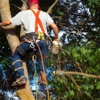 RC's Tree Service gallery