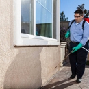 Pest Control York PA Exterminating - Pest Control Services