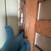 Reliable termite solutions gallery