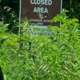 Midewin National Tallgrass Prairie